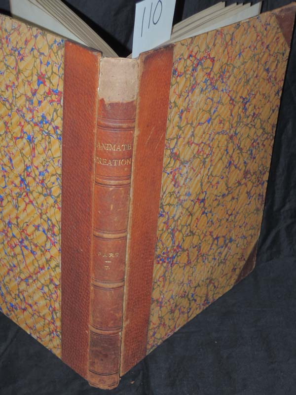 Wood, The Rev. J.G.: Animate Creation Part V: Fishes and Reptiles