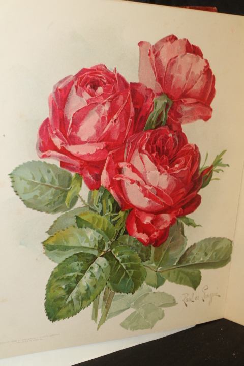 De Longpre, Paul: Roses Facsimiles of Watercolors ORIGINAL 1898 NOT A REPRINT