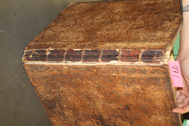 Corrario, Hieronymo: Numismata Aerea Selectiora Maximi Moduli E Museo Pisano ...