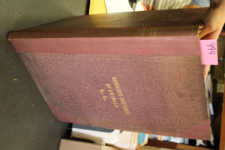 Barraud, W & H.: Sketches of Figures & Animals Barraud, W & H.: Sketches of Figures & Animals