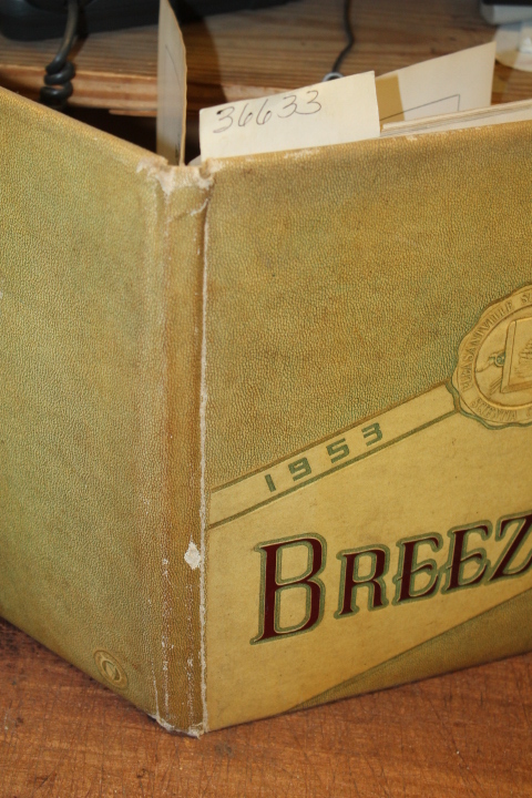 Pleasantville High School: Breeze 1953 Pleasantville High School Yearbook