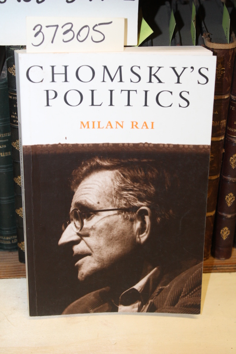 Rai, Milan: Chomsky's Politics