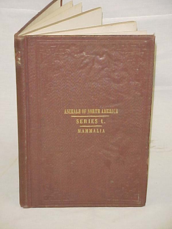 Small, H. Beaumont: The Animals Of North America Mammalia