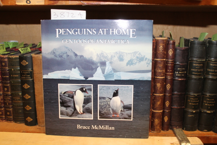 McMillan, Bruce: Penguins at Home: Gentoos of Antarctica