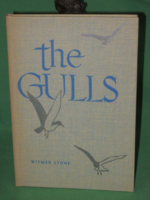 Stone, Witmer: The Gulls