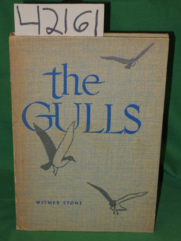 Stone, Witmer: The Gulls