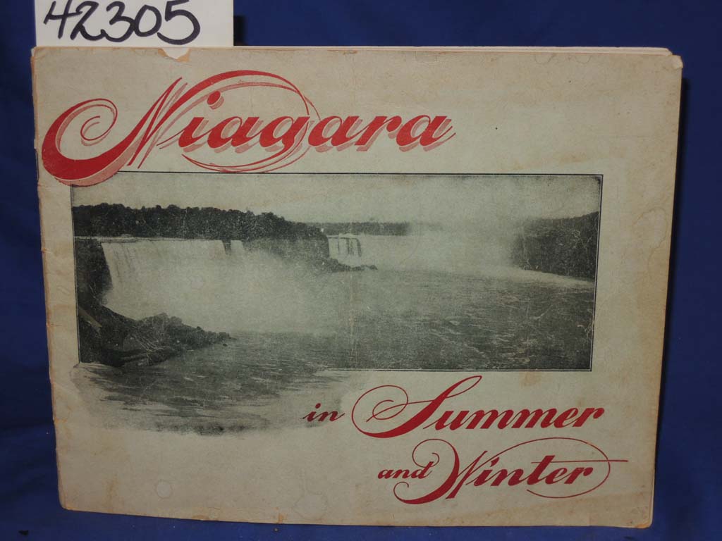 Niagara Falls: Niagara Falls in Summer and Winter
