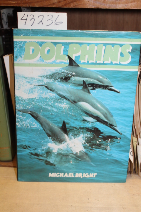 Bright, Michael: Dolphins