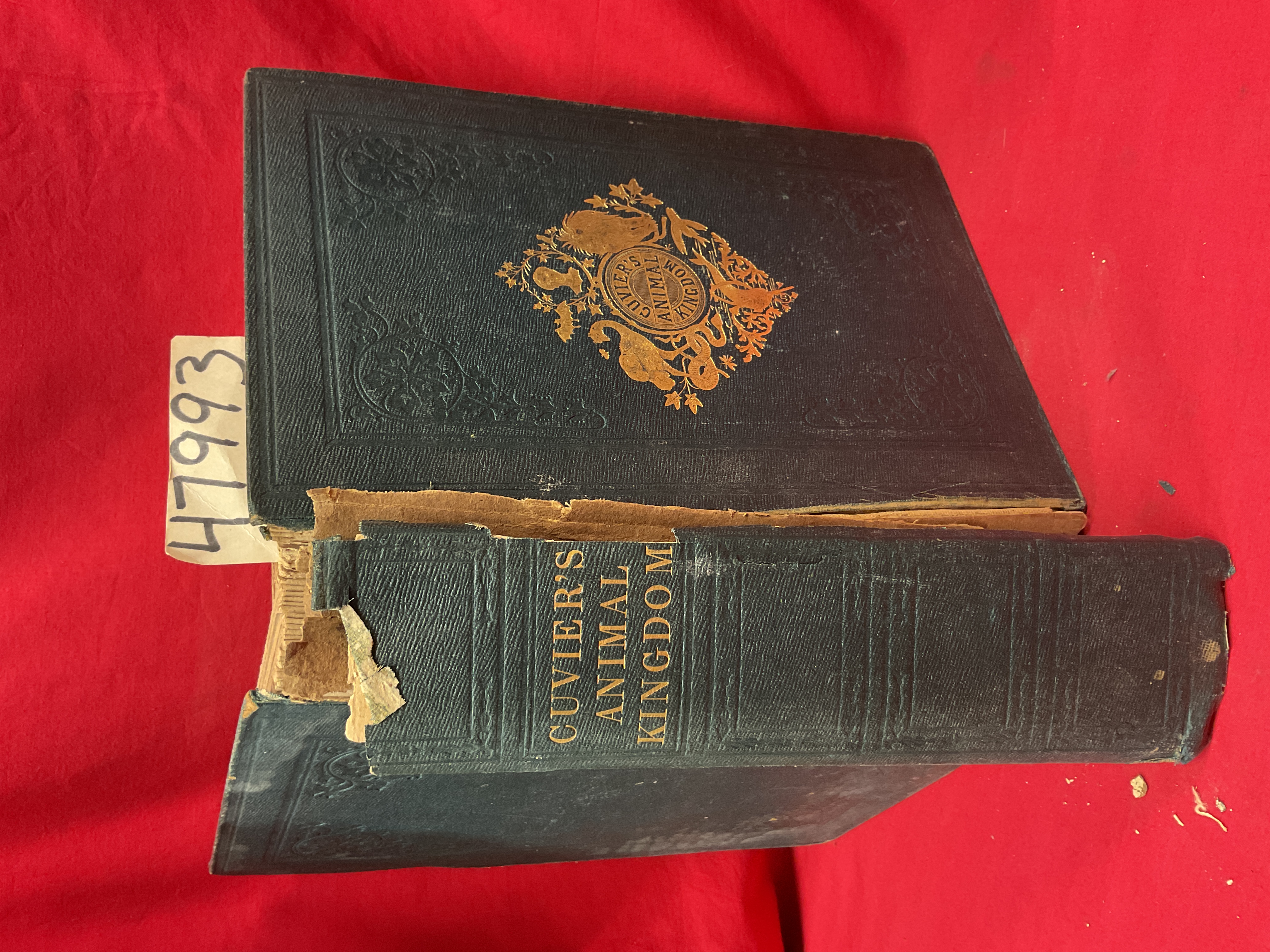 Cuvier, Baron; W.B. Carpenter; J.O. ...: The Animal Kingdom, arranged accordi...