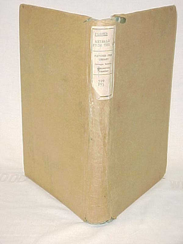 Buckley, Arabella B.: Animals from the Life