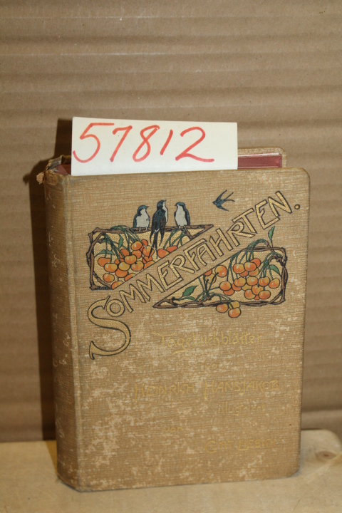 Hansjakob, Heinrich: Sommerfahrten; Tagebuchblatter