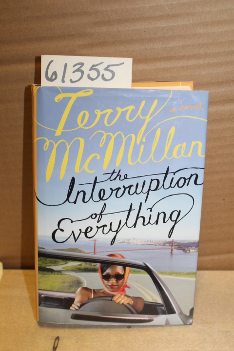 McMillan, Terry: The Interruption of Everything
