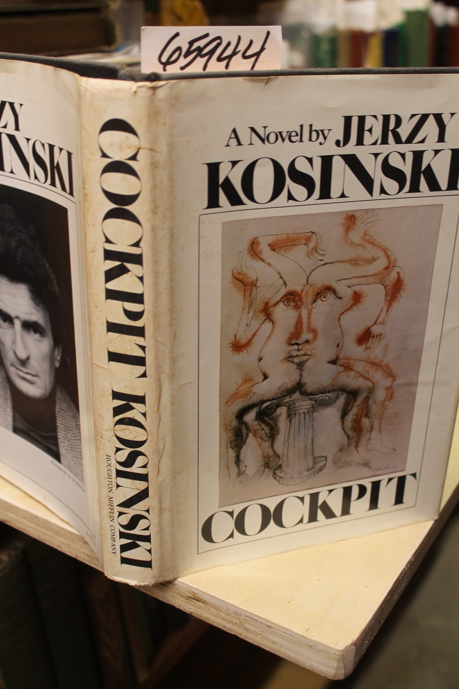 Kosinski, Jerzy: Cockpit