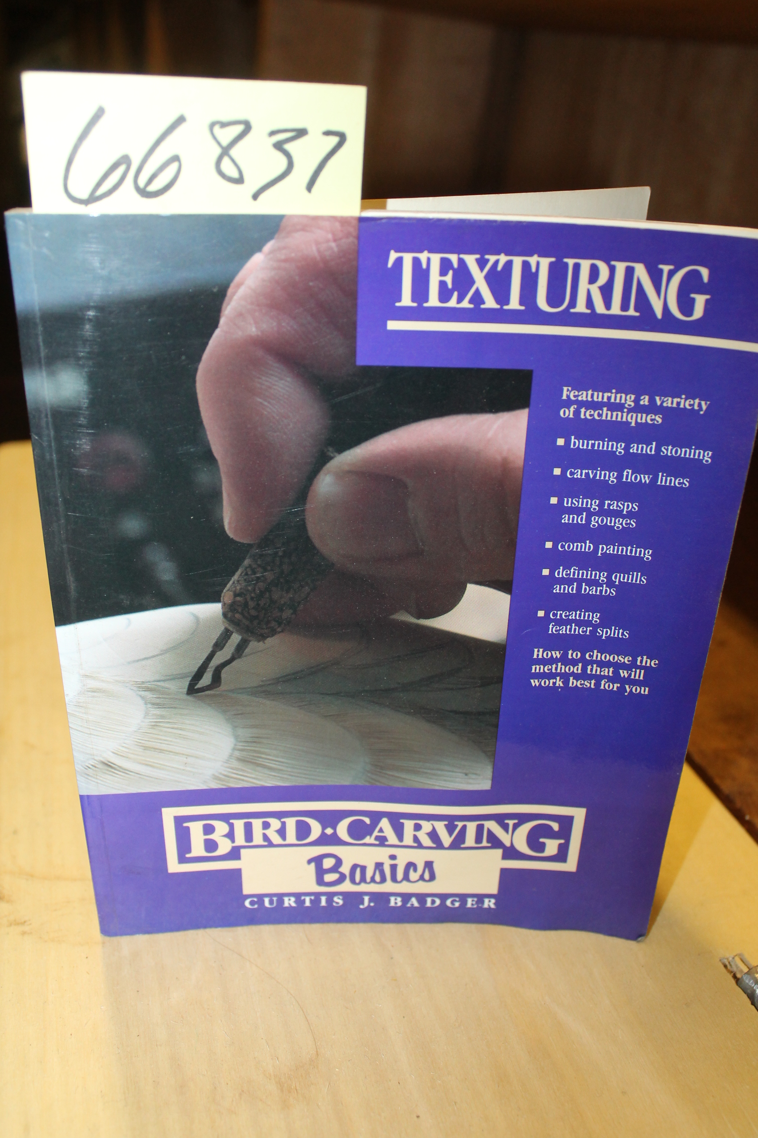 Badger.  Curtis J: Bird Carving Basics  Texturing Volume 5