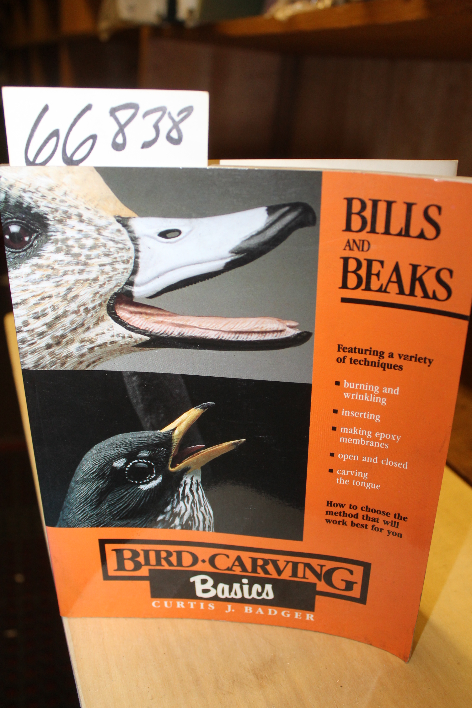 Badger, Curtis J: Bird Carving Basics  Bills and Beaks  Volume 4: