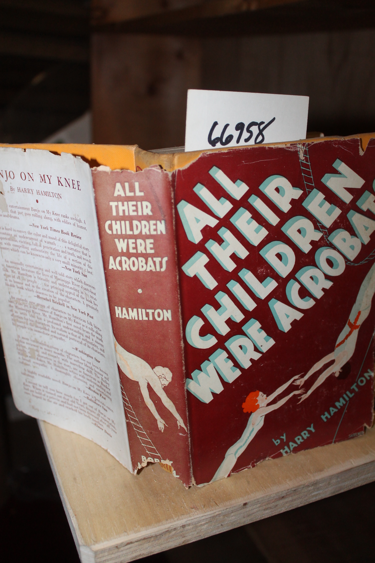 Hamilton, Harry: All Their Children Were Acrobats FIRST ED