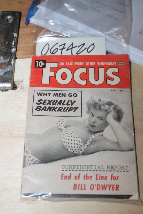 LEADING MAGAZINE CORP  BILL O'DWYER: FOCUS  Why Men Go Sexually Bankrupt  Con...