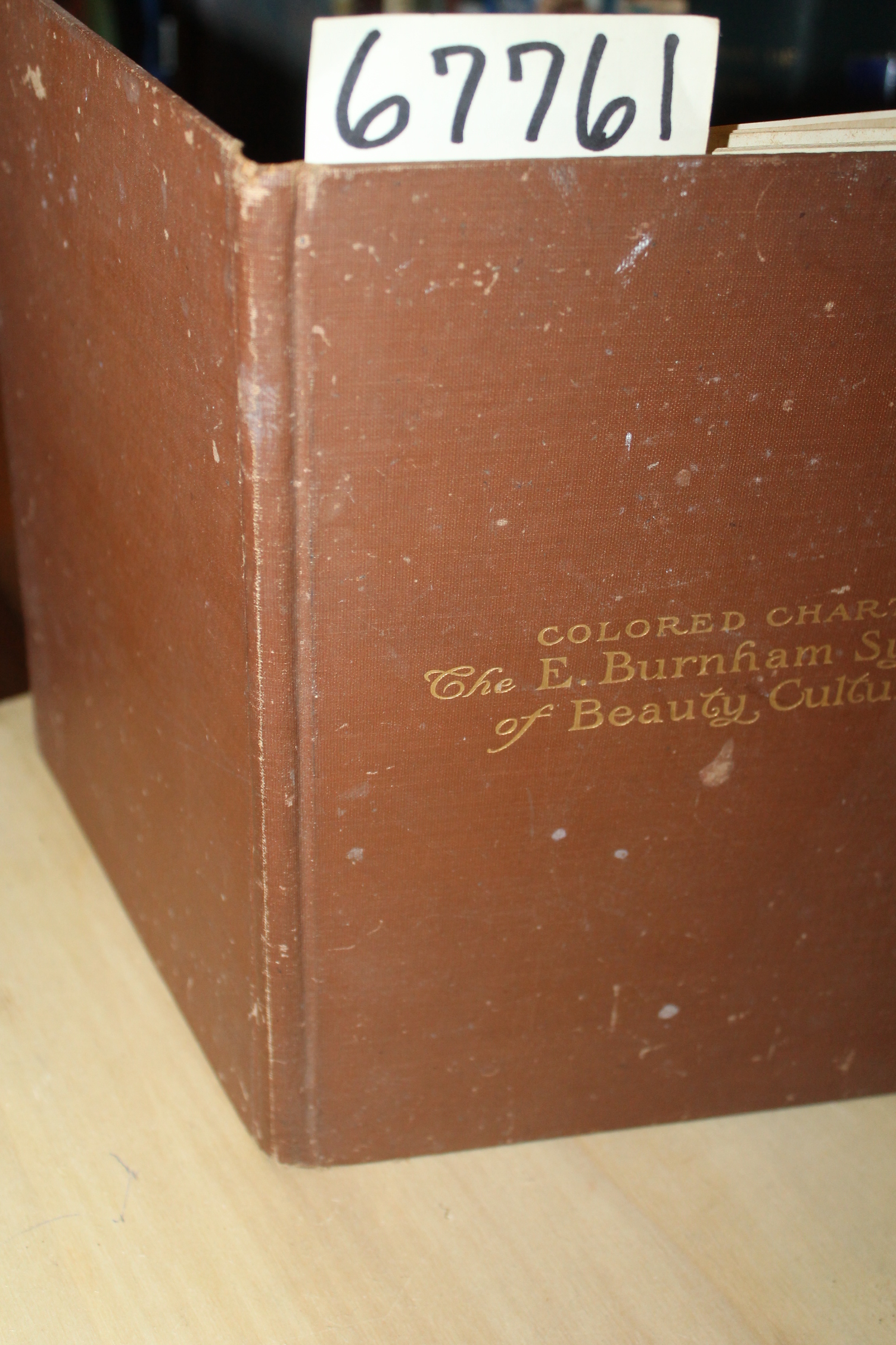 Burnham, E.: Colored Charts of the E. Burnham System of Beauty Culture