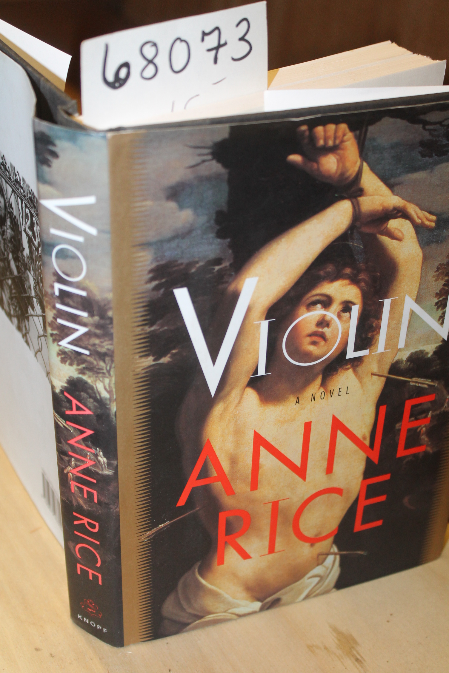 Rice, Anne: VIOLIN