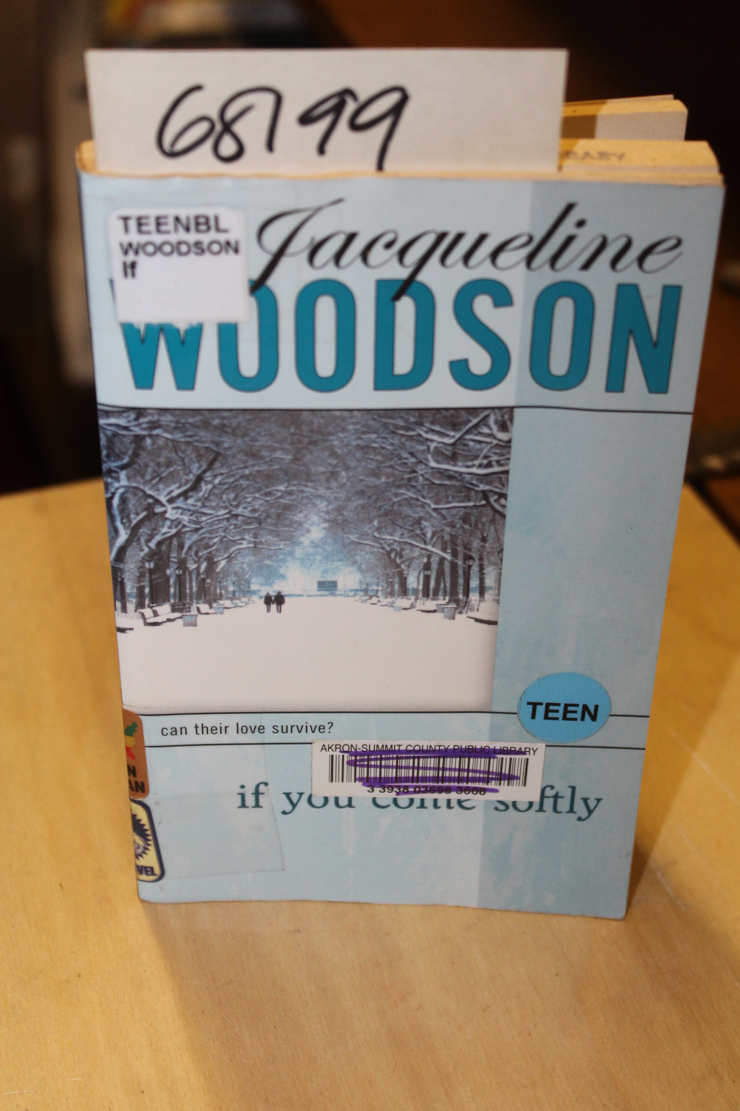 Woodson, Jacqueline: If you come softly