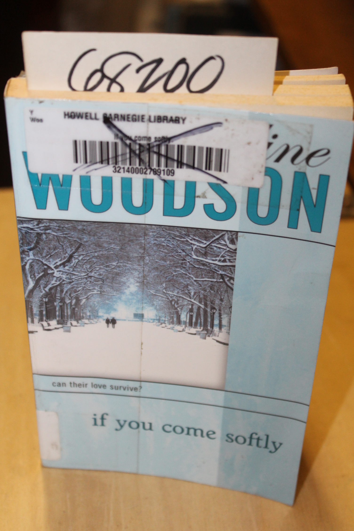 Woodson, Jacqueline: If you come softly