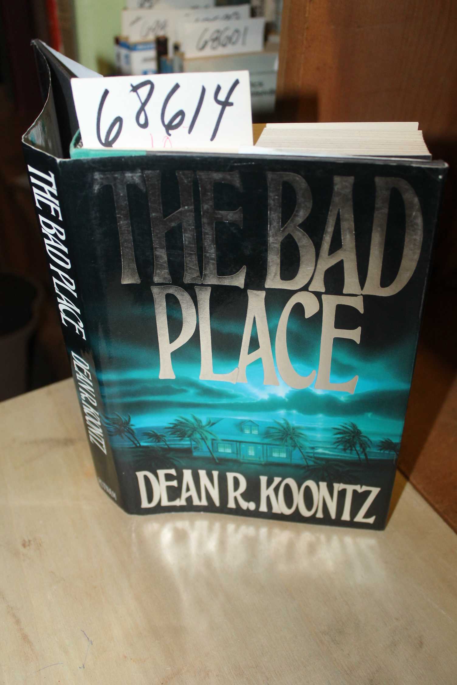 Koontz, Dean: Bad Place