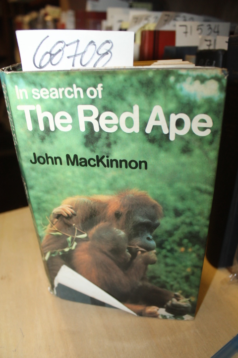 MacKinnon, John: In Search of The Red Ape