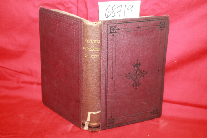 Steel, John Henry: Outlines of Equine Anatomy a Manual for the use of veterin...
