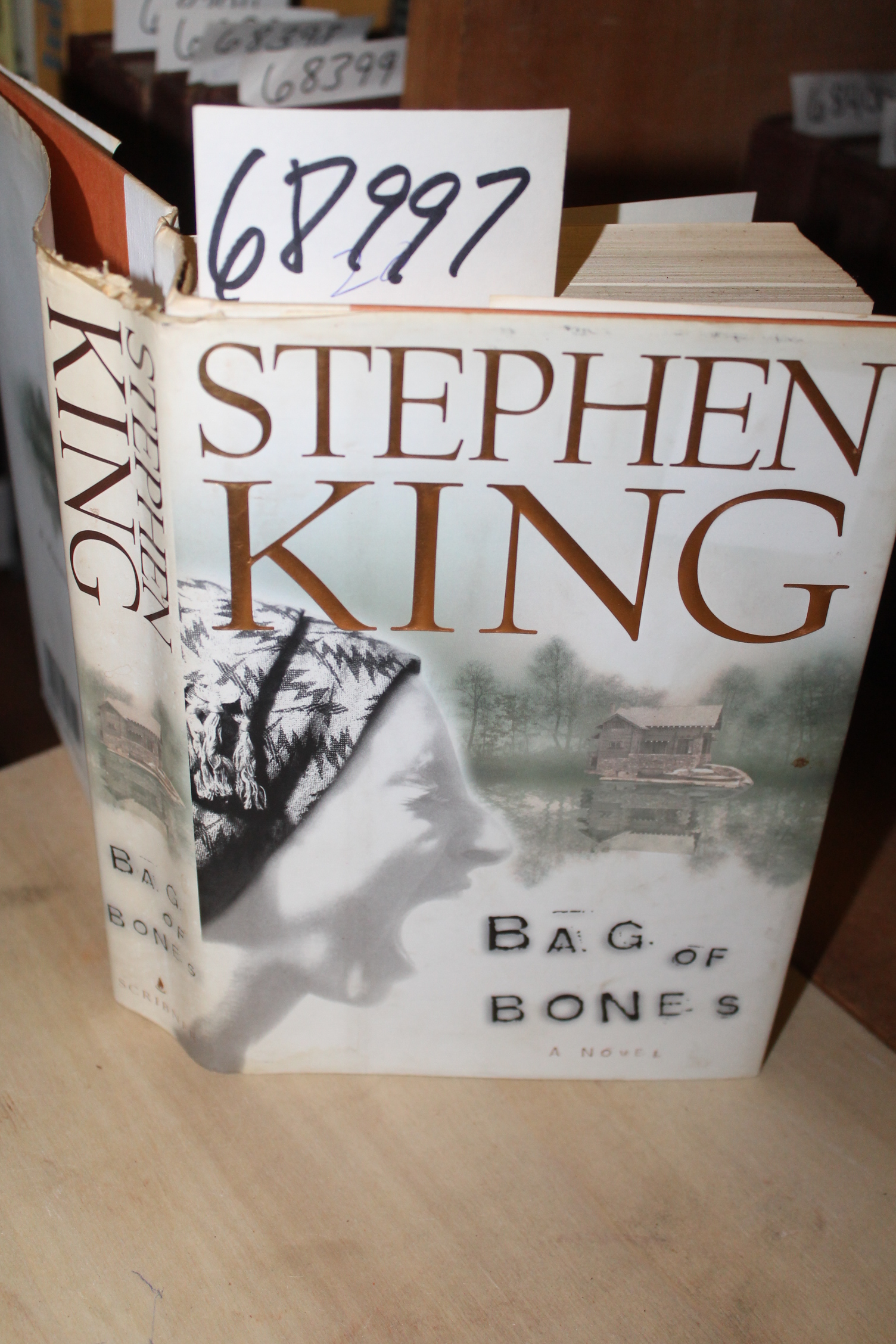 King, Stephen: Bag of Bones
