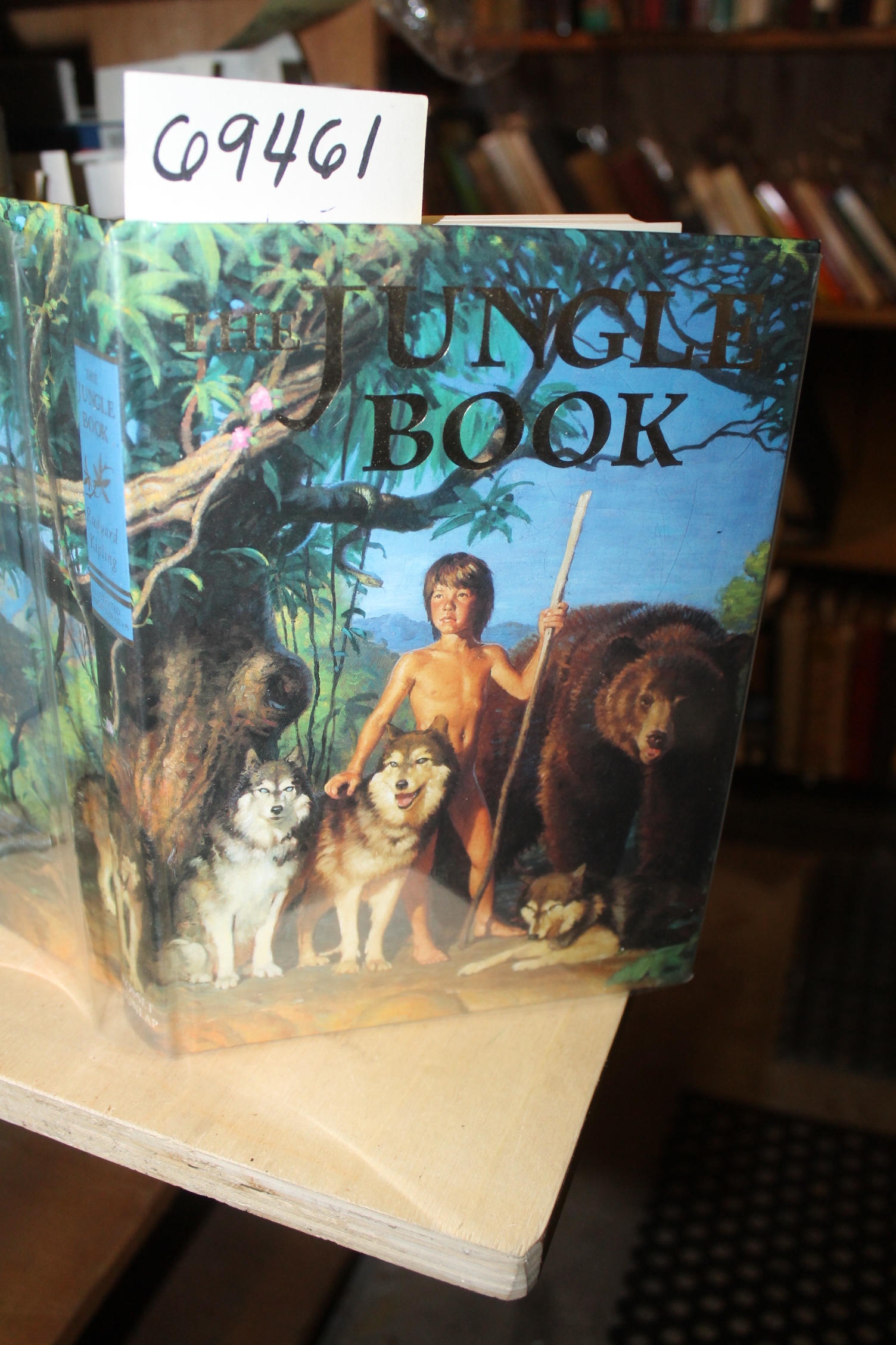Kipling,Rudyard: The Jungle Book