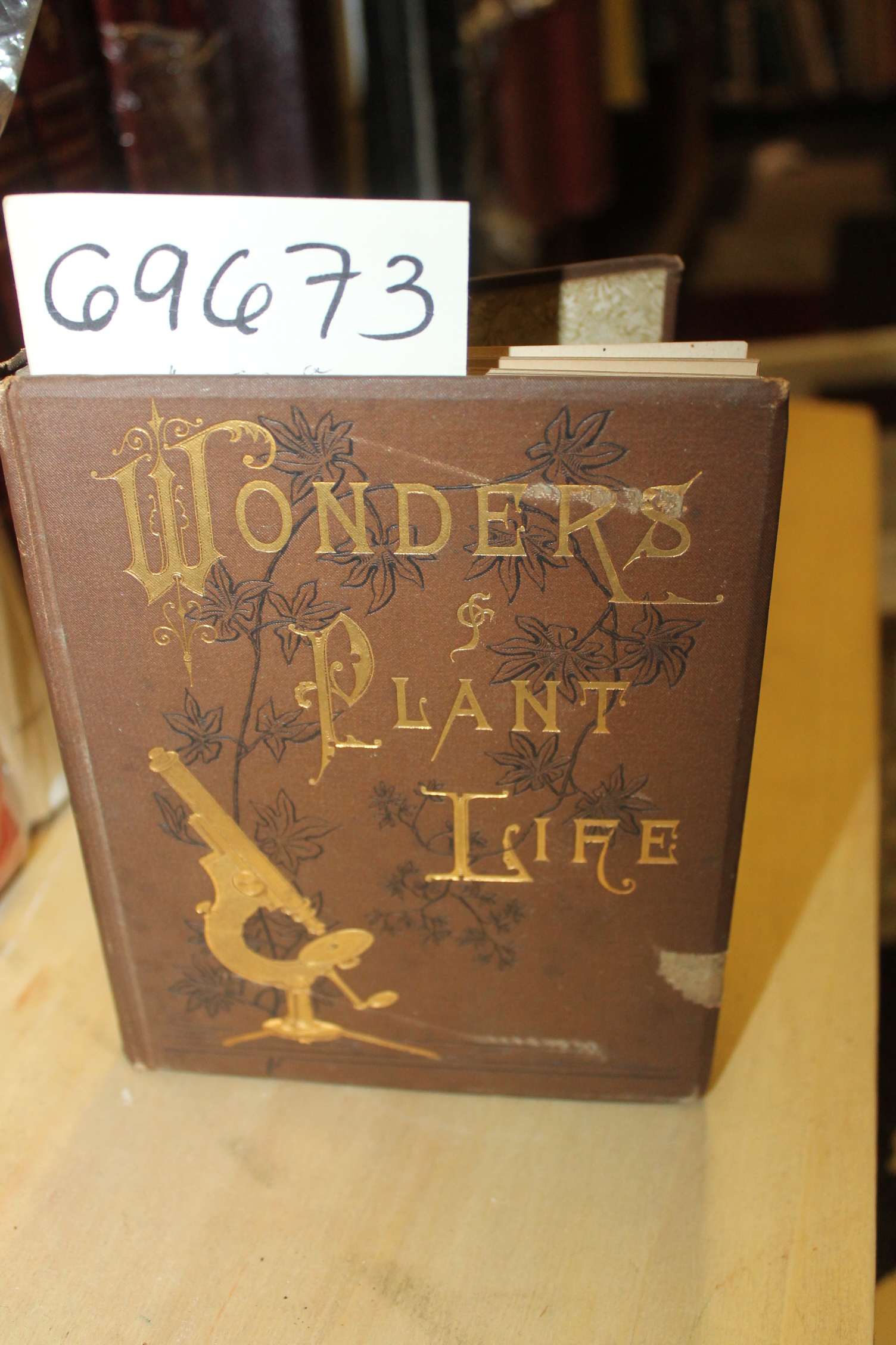 Herrick, Sophie Bledsoe: The Wonders of Plant Life Under the Microsope