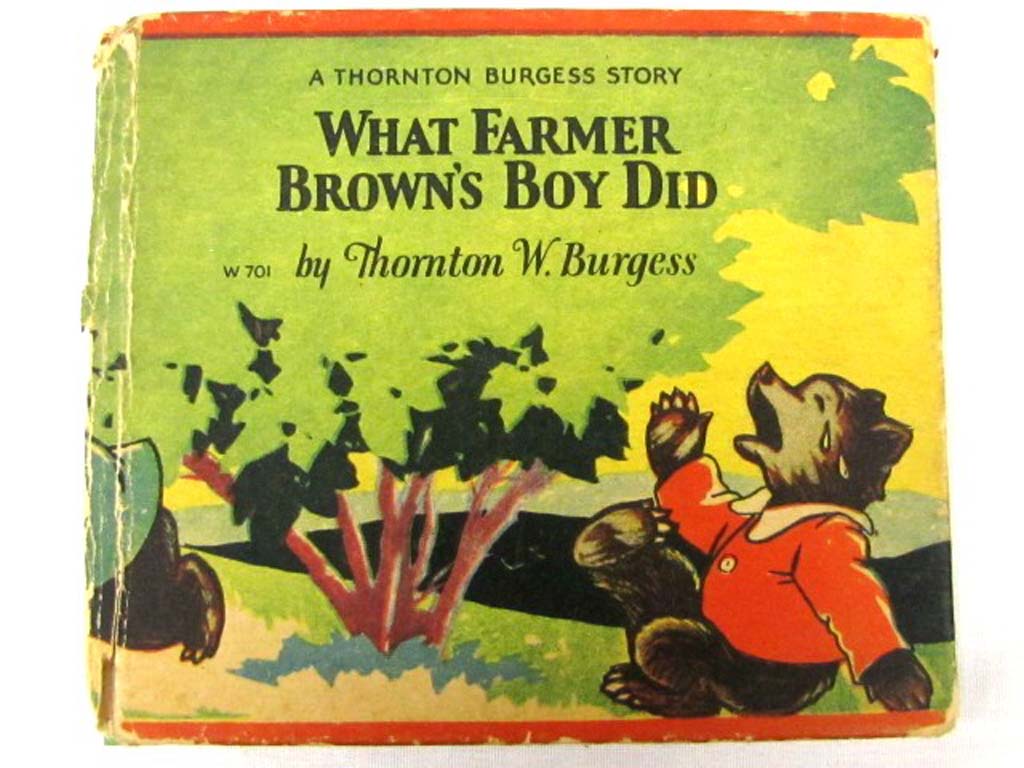 Burgess, Thornton W.: What Farmer Brown's Boy Did