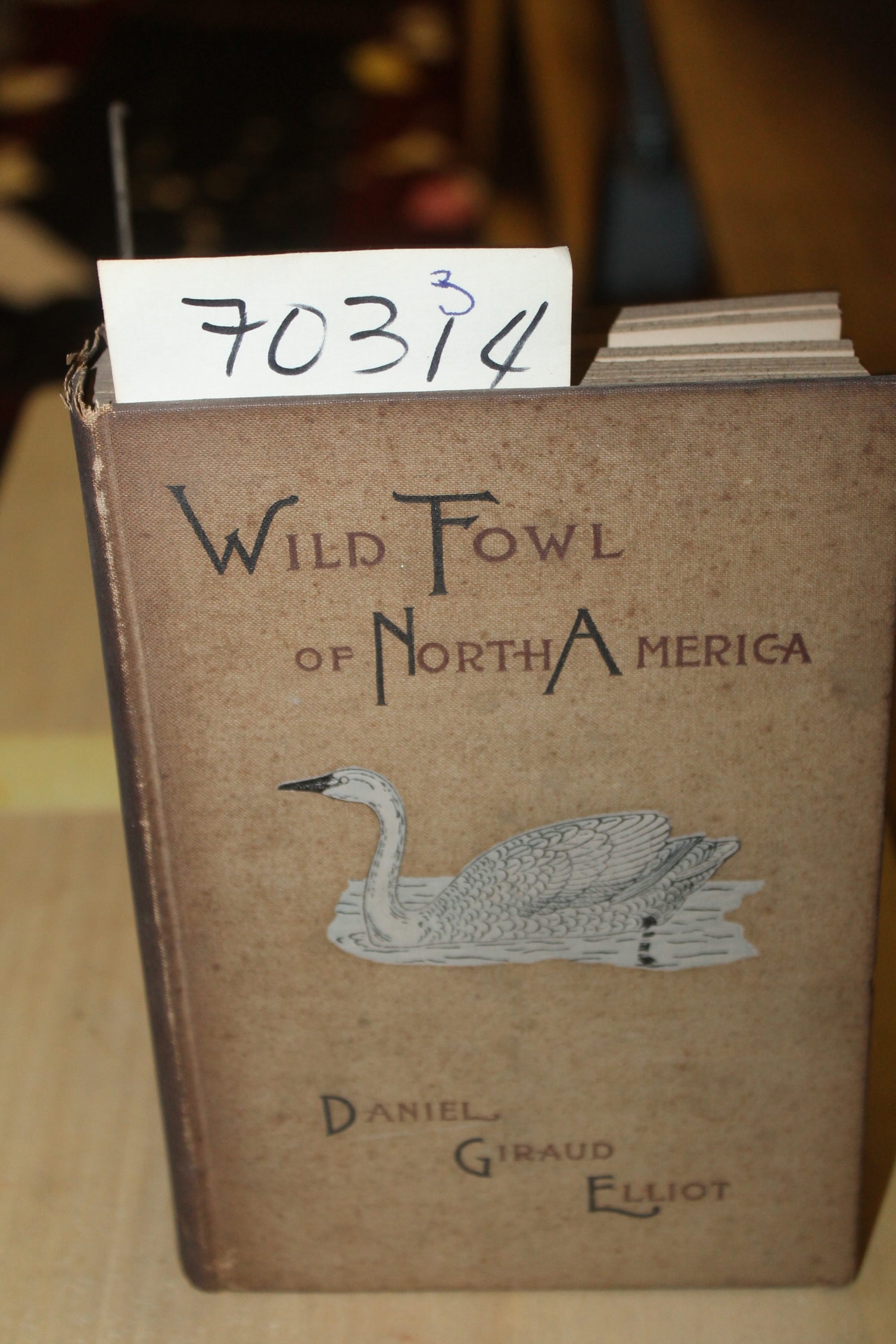Elliot, Daniel Giraud: The Wild Fowl of the United States and British Possess...