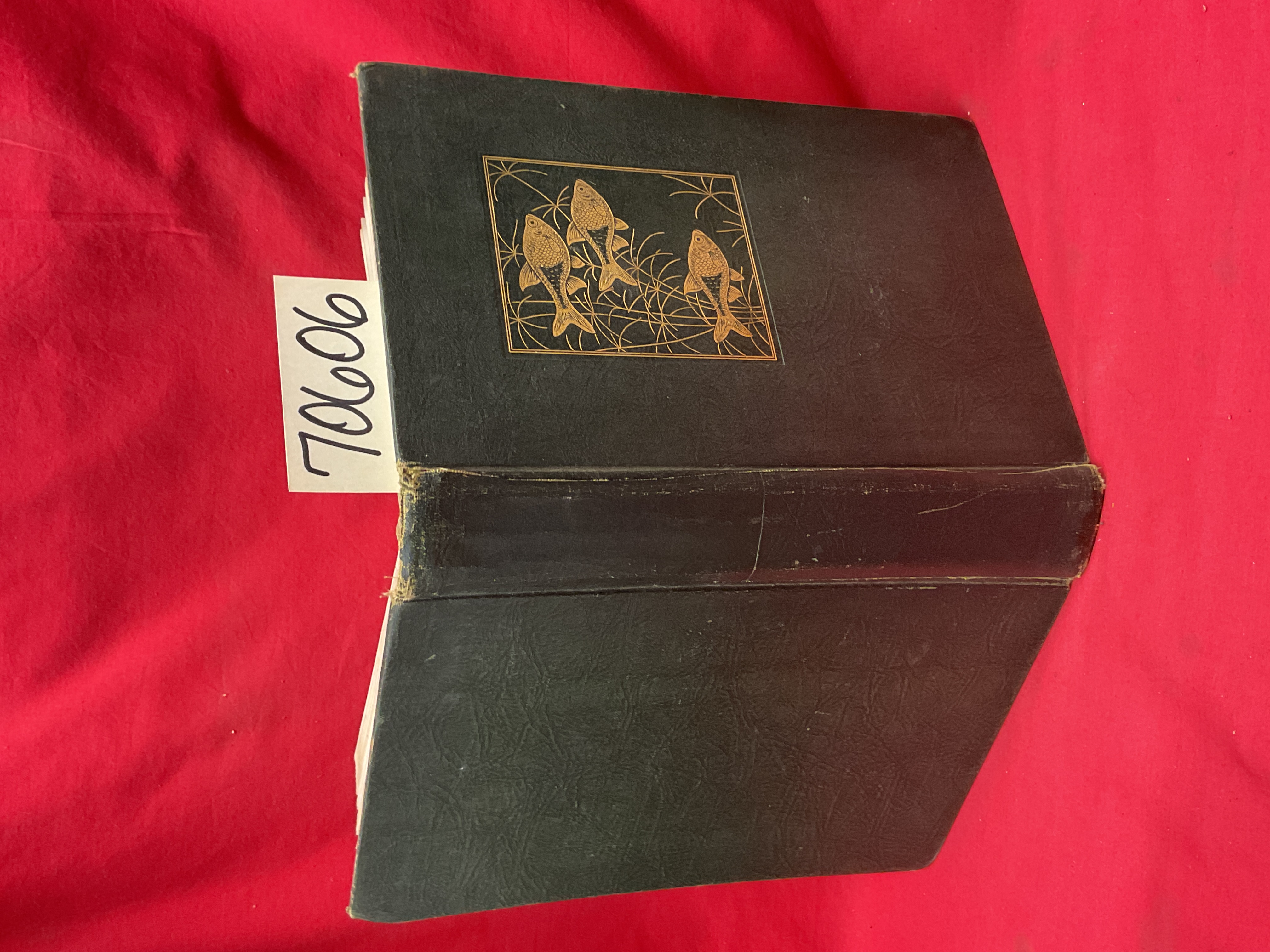 Innes, William T.: Exotic Aquarium Fishes