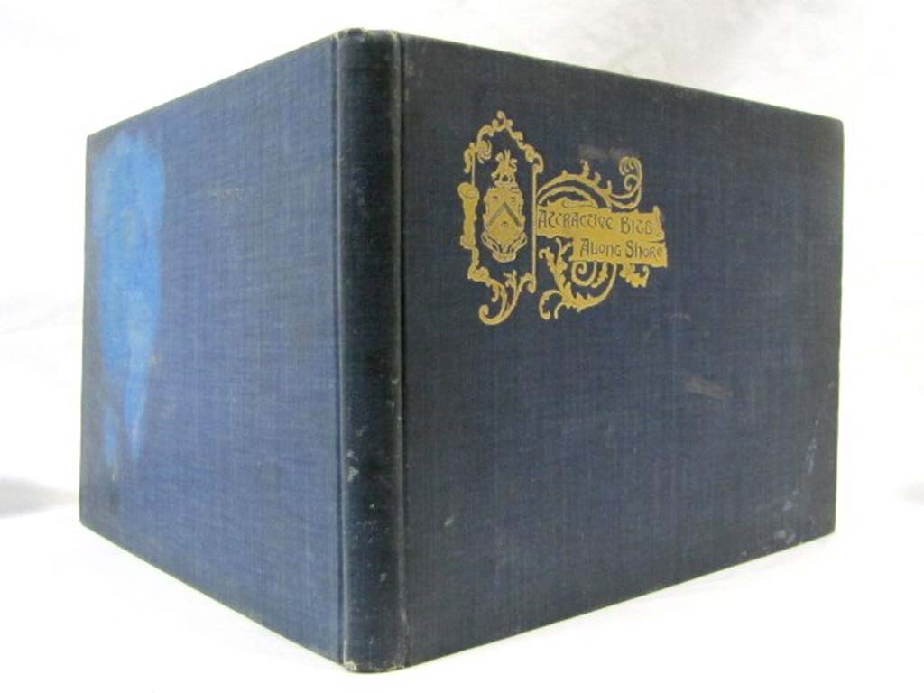 Hayes, H,. Wilbur: Attractive Bits along Shore