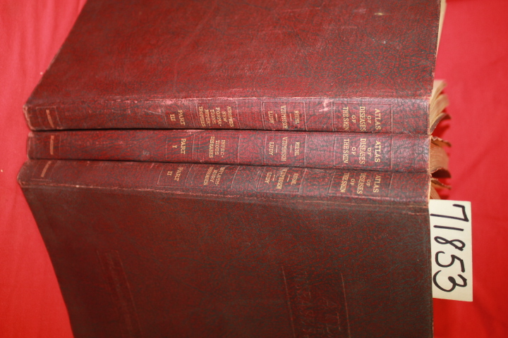 Riehl, Prof. G. anf Zumbusch, Prof. ...: Atlas of Diseases of the Skin 3 Volumes