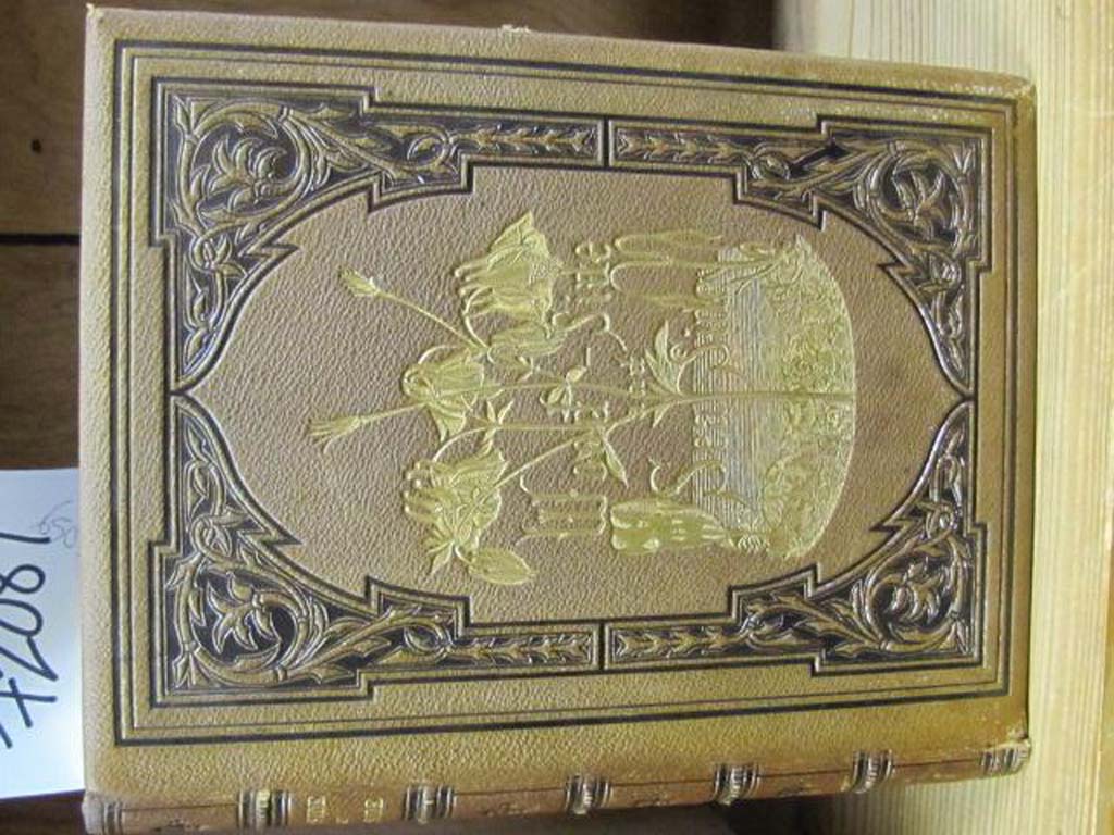WOOD-SIDE AND SEA-SIDE ETCHINGS ENGR...: WOOD-SIDE AND SEA-SIDE ETCHINGS ENGR...