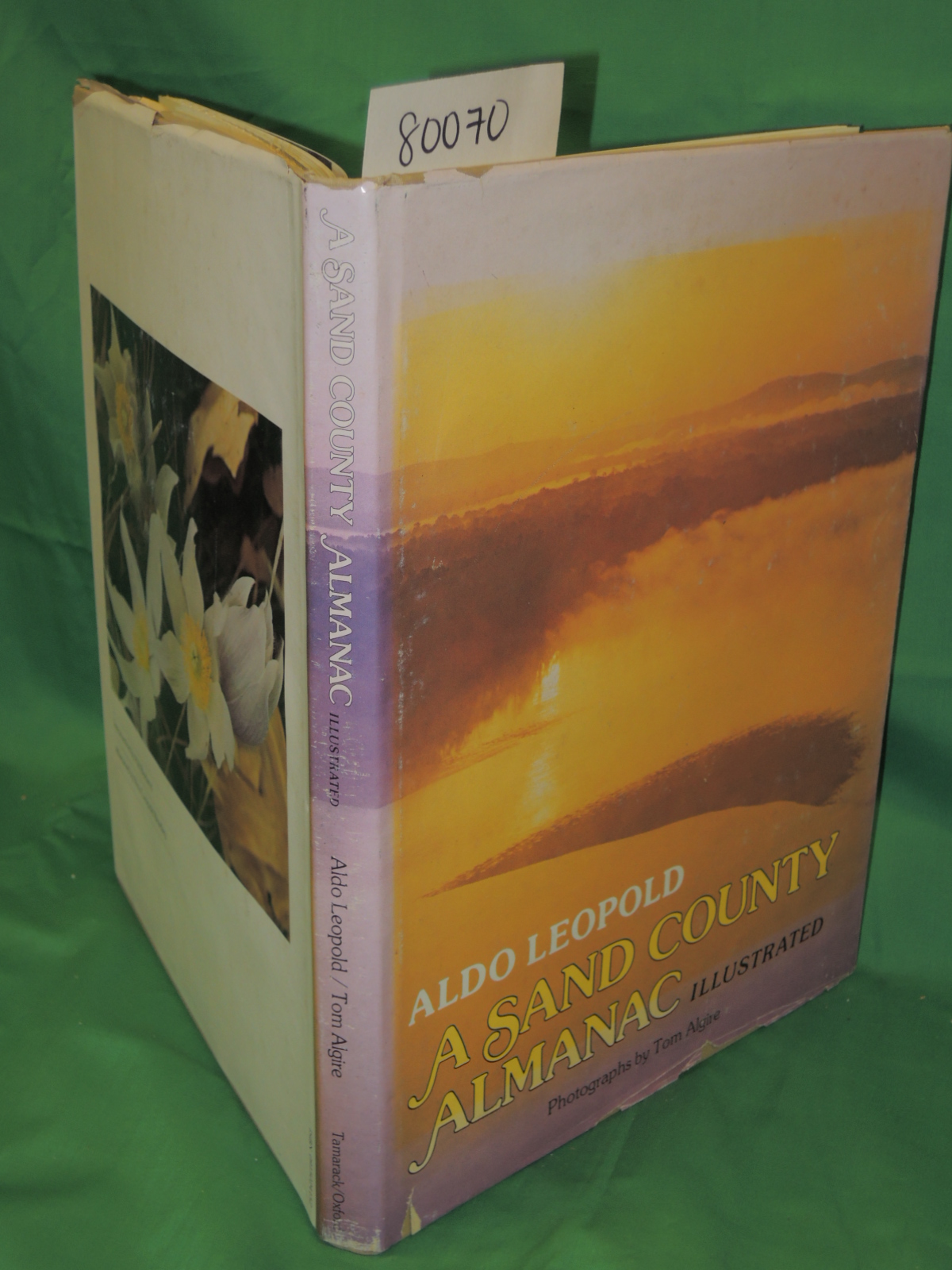 Dumas, Alexandre: Beau Tancrede