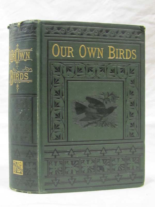 Baily, William L.: Our Own Birds - A Familiar Natural History of the Birds of...