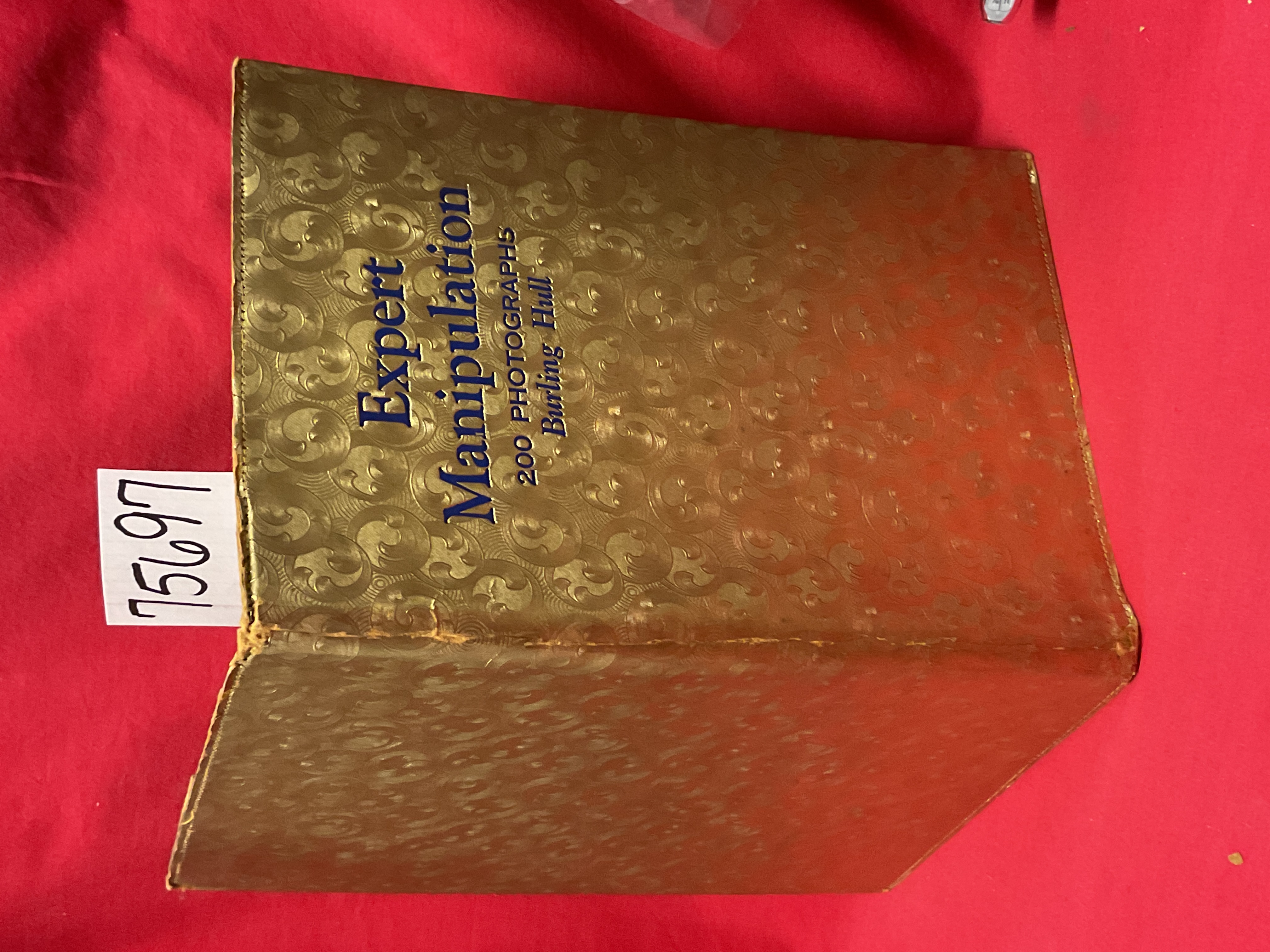 Hull, Burling: Expert Billiard Ball Manipulation an Accurate and Comprehensiv...