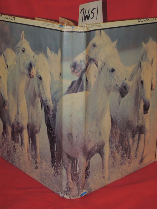 Hasegawa, Hideo: Ice Carving Caesars Atlantic City letterhead,Grinder Kitchen...