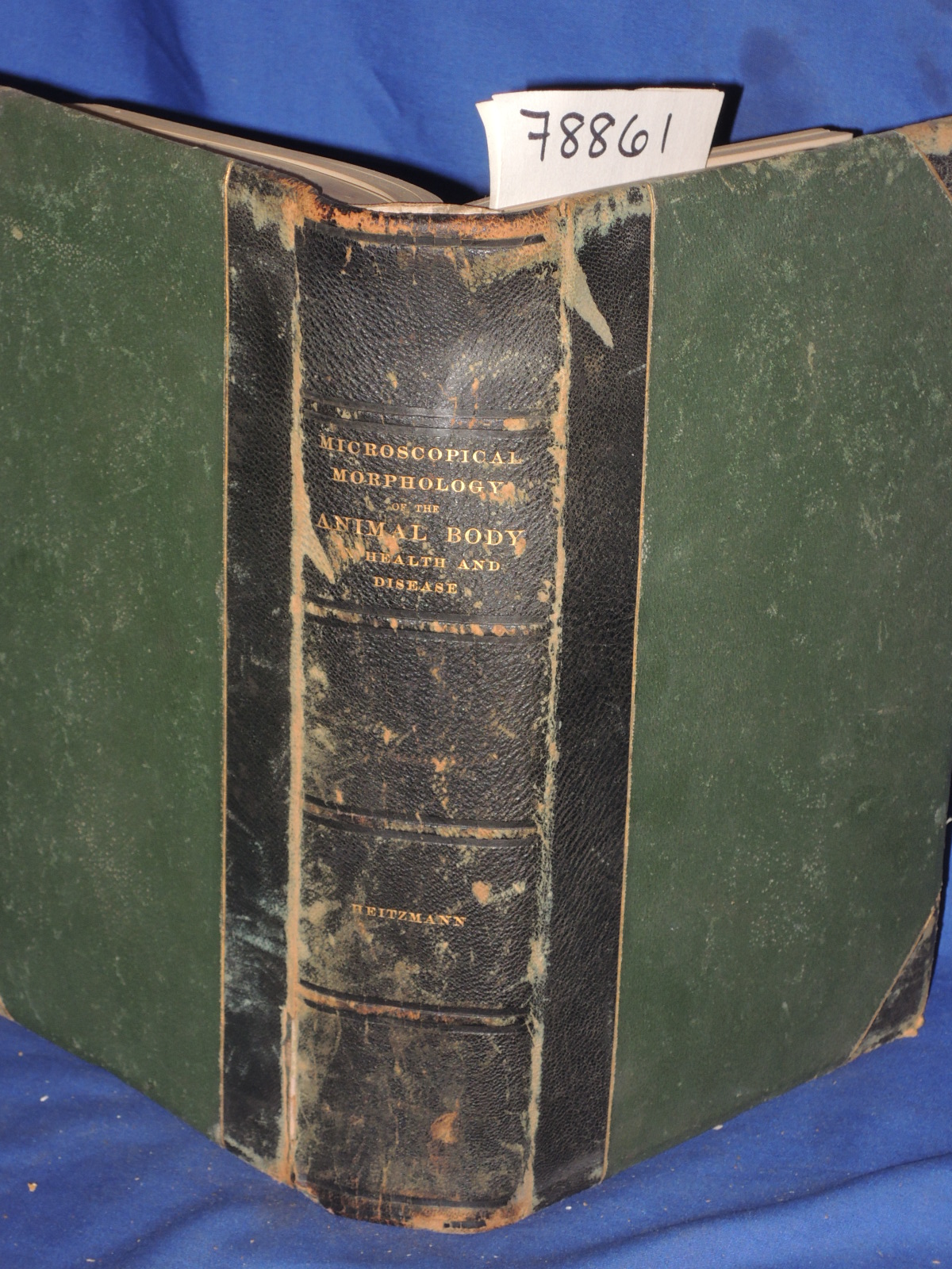 Heitzmann, C.: MICROSCOPICAL MORPHOLOGY OF THE ANIMAL BODY IN HEALTH AND DISEASE