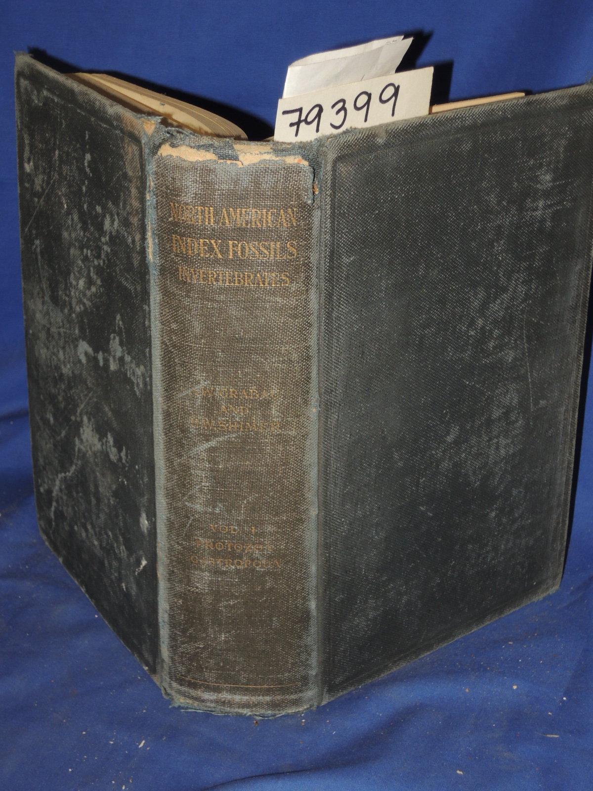 Grabau, S.M., S.D. Amadeus: NORTH AMERICAN INDEX FOSSILS INVERTEBRATES Vol. I