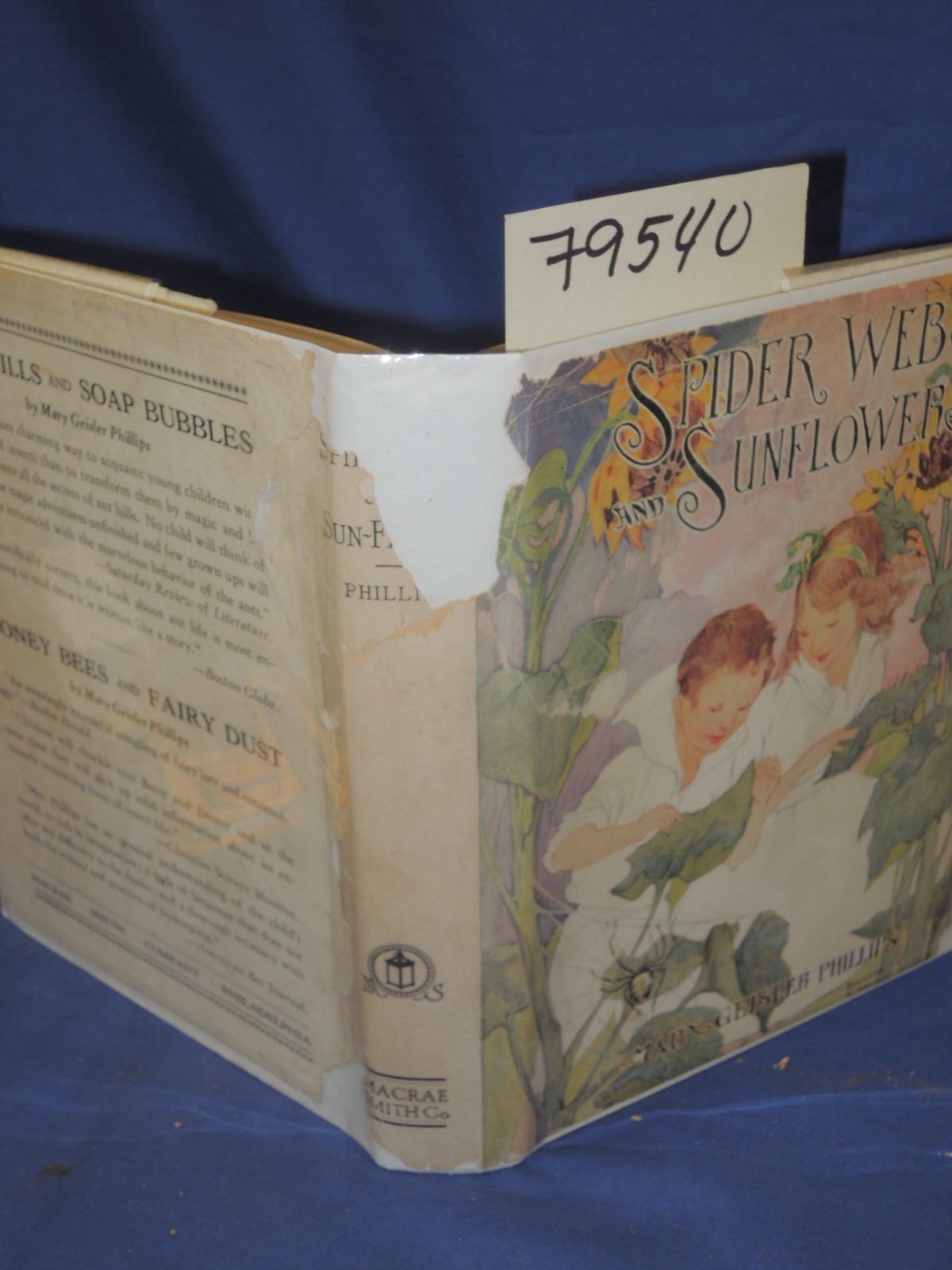 Phillips, Mary Geisler: SPIDER WEBS AND SUNFLOWERS