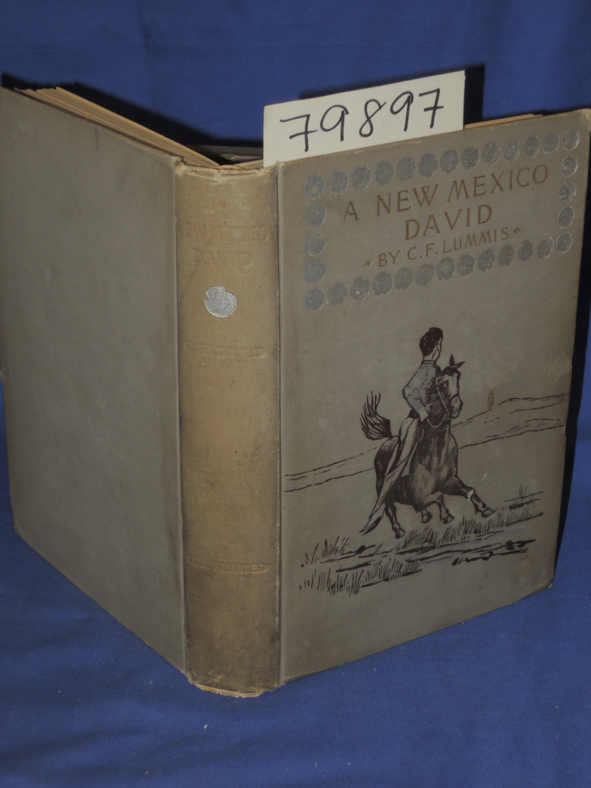 Lummis, Charles F.: A New Mexico David