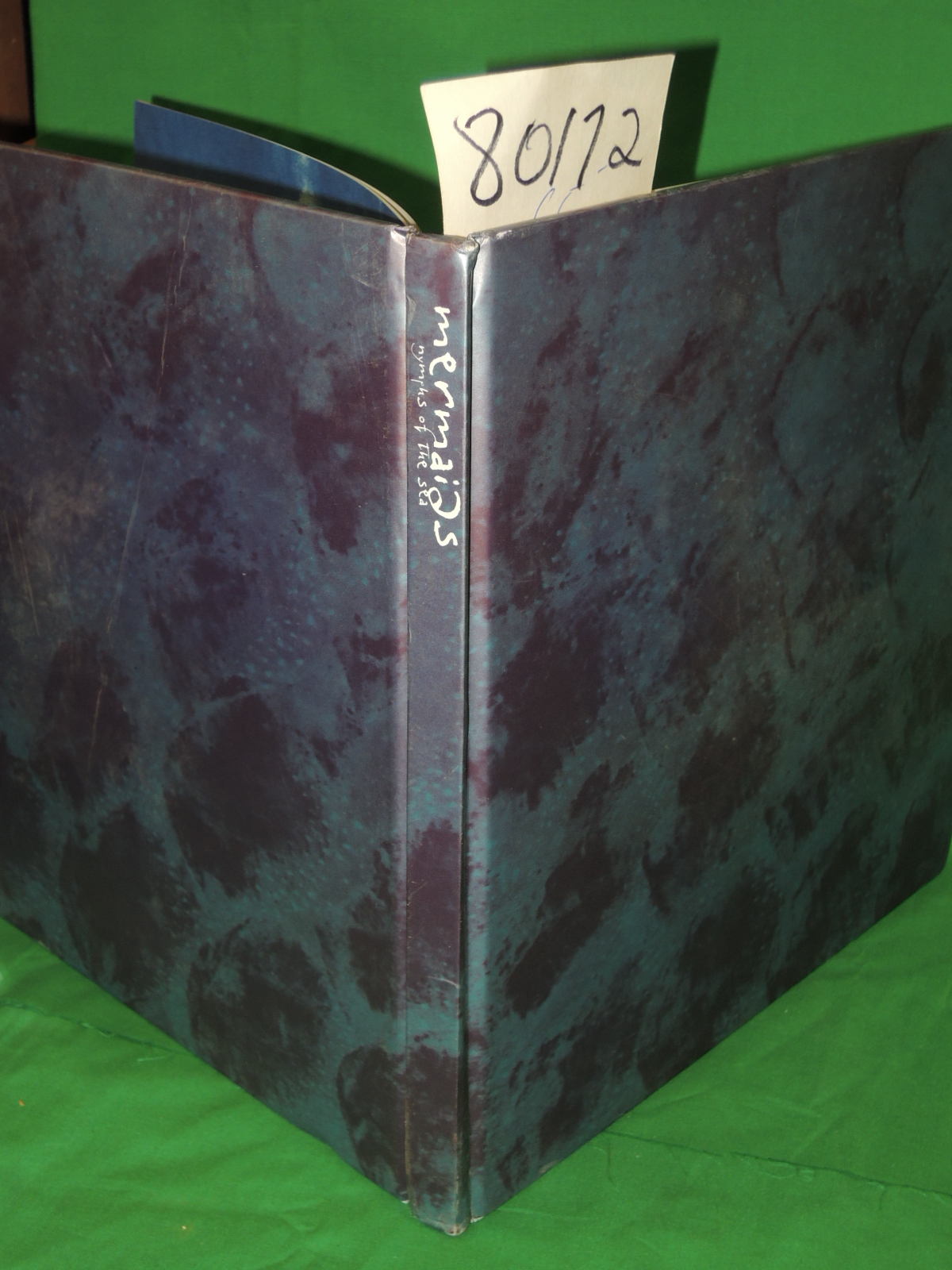 Gachot, Theodore: Mermaids Nymphs of the Sea