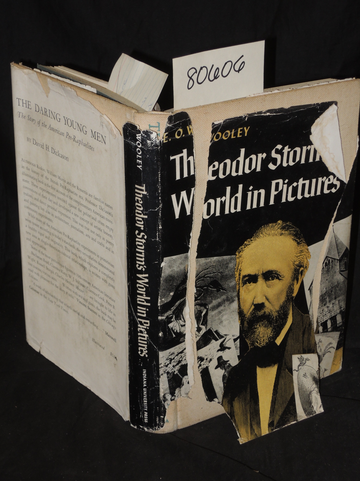 Wooley, E.O.: Theodor Storm's World In Pictures