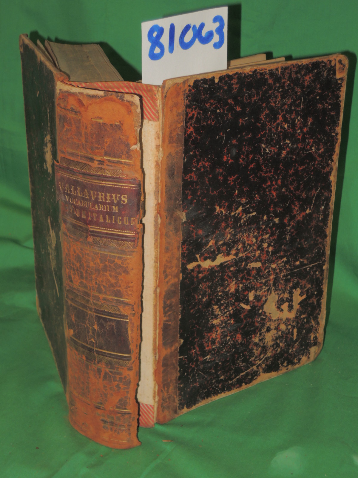 Vallavrivs, Thomas r: Lexicon Latini Italiqve Sermonis in Vsvm Scholarvm Novv...