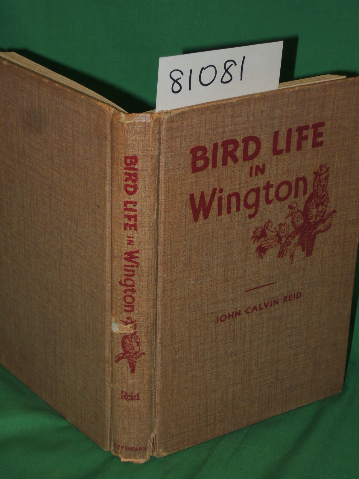 Reid, John Calvin: Bird Life in Wington: Practical Parables for young people