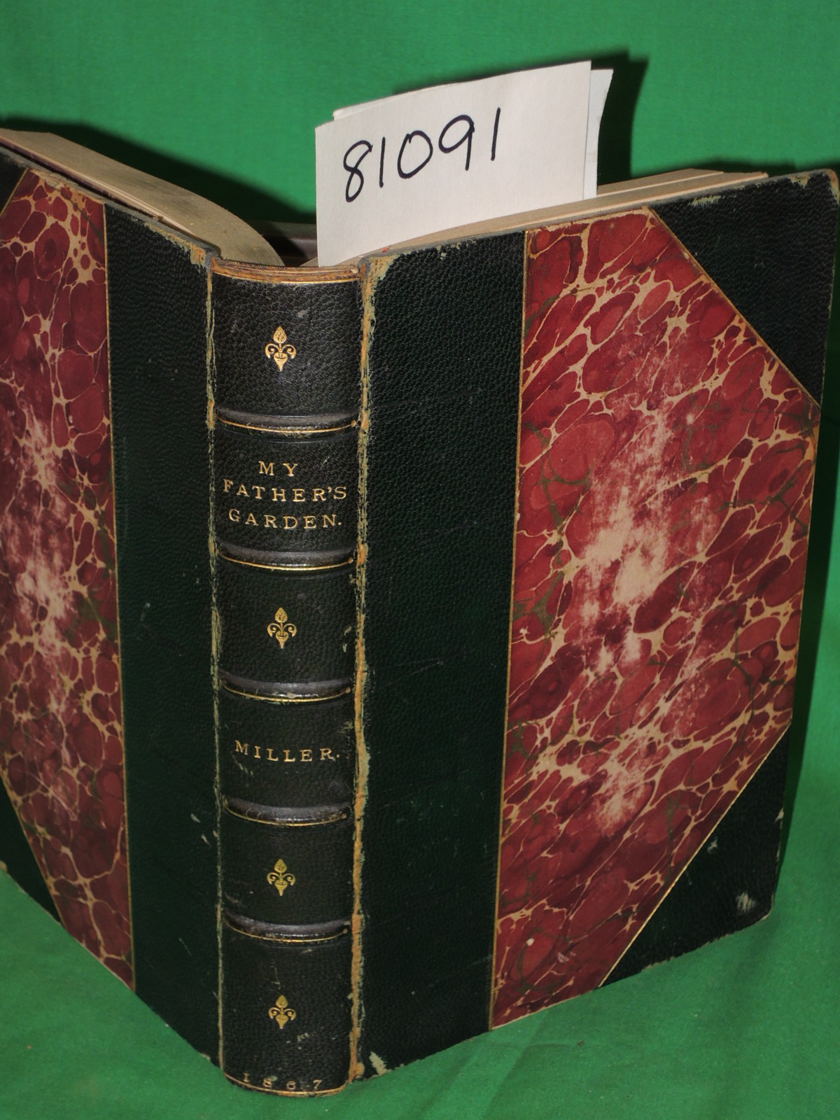 Miller, Thomas: My Father's Garden